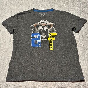 Abercrombie Kids Boys Gray Tee, EUC, Size 13/14